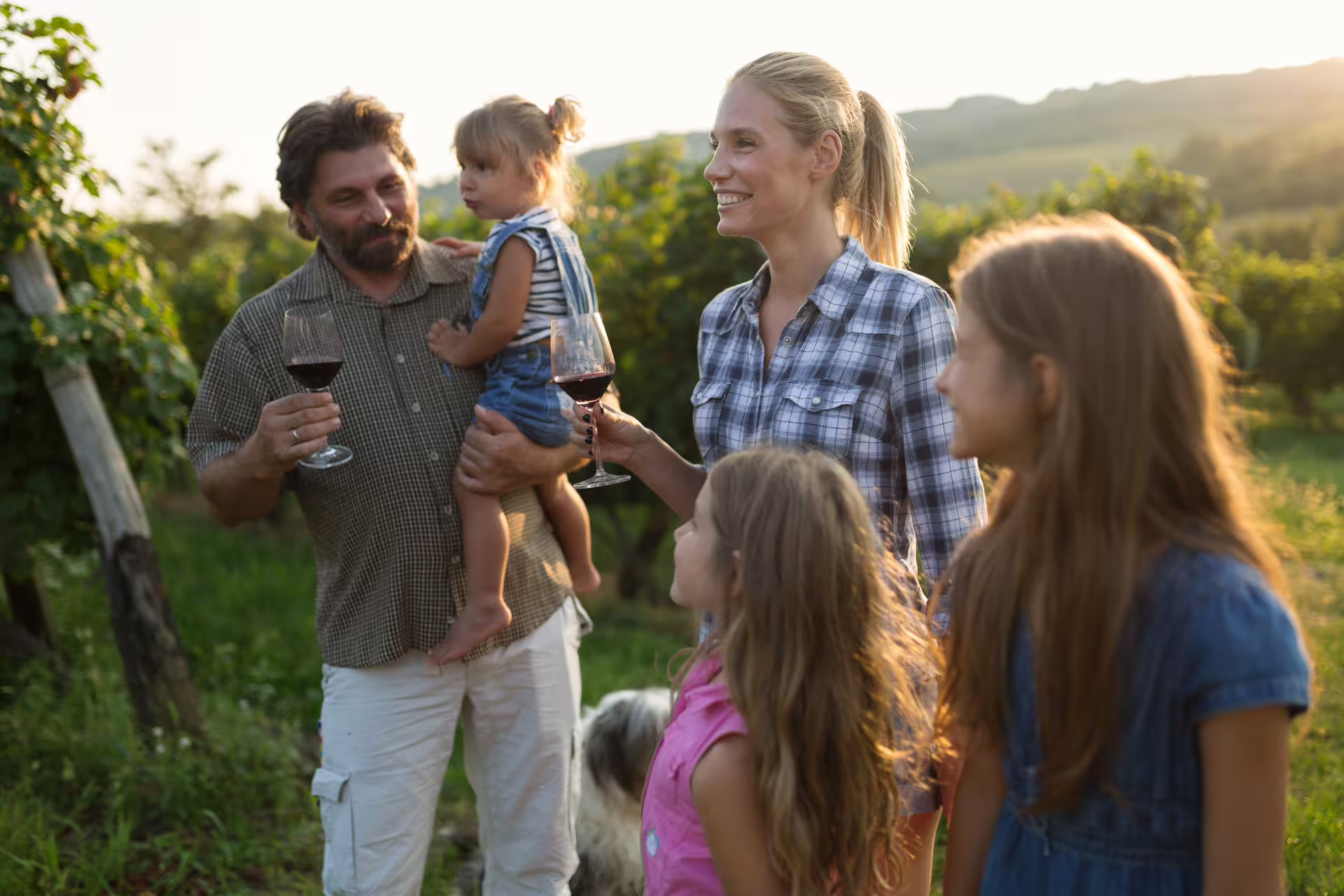 Family enjoying red wine tasting in a vineyard at sunset during harvest, guided wine tour experience