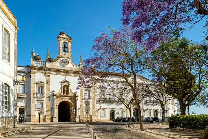 Charming square in Faro featuring historic architecture, jacaranda trees, and a sunny sky, perfect for a quick private city tour.