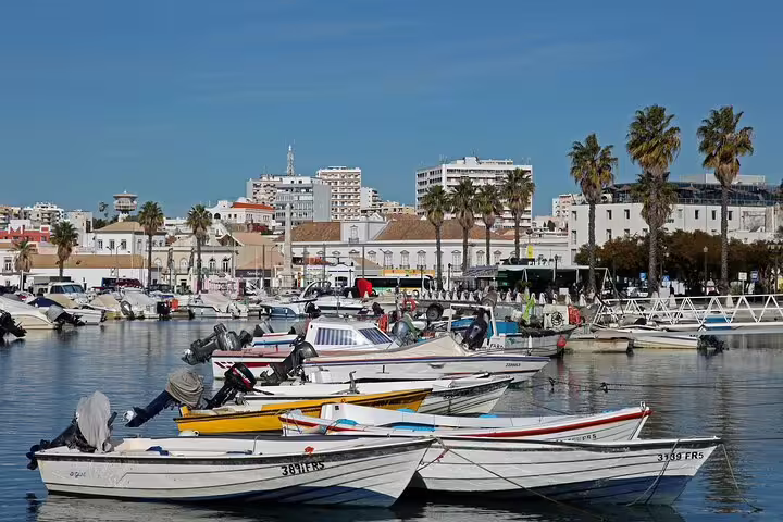 Scenic Faro marina with boats and palm trees against city skyline, ideal for a quick and private 2-hour city tour experience.