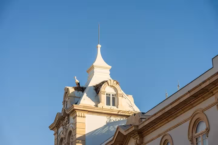 Elegant rooftop with stork nests on a historic Faro building, showcasing architectural beauty during a city walk tour.