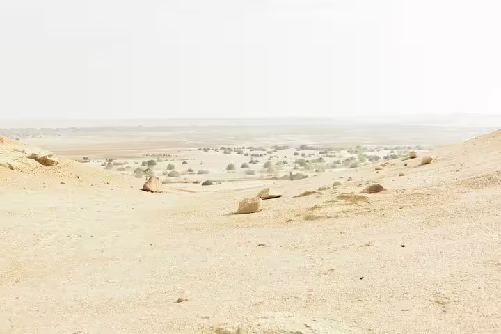 Wide desert view near Fayoum oasis, Egypt, scenic stop on full-day bird watching tour and safari drive
