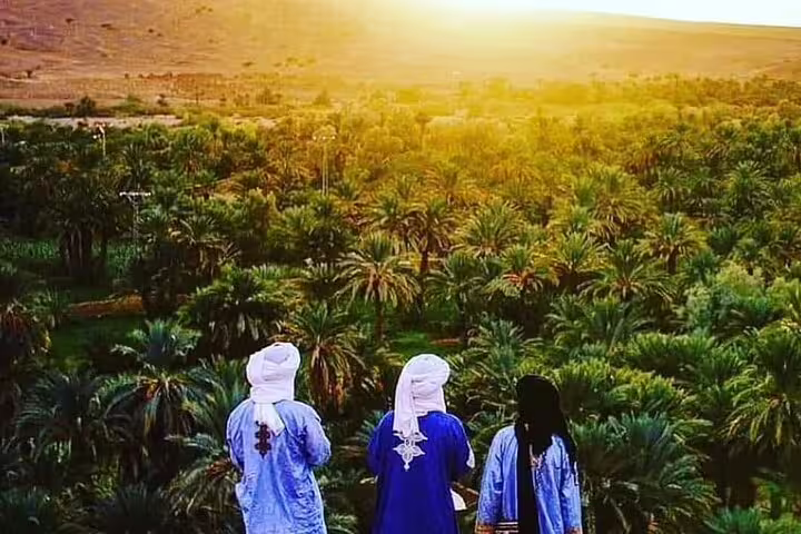 Travelers overlook a lush palm oasis at sunset on the 3 days desert tour from Fes to Marrakech, Morocco