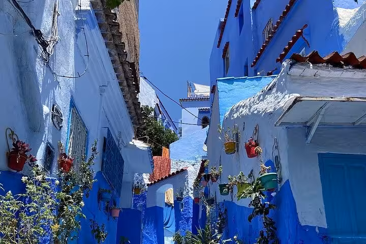 Explore the vibrant blue alleyways of Chefchaouen on a full-day guided tour from Fez, showcasing colorful potted plants.
