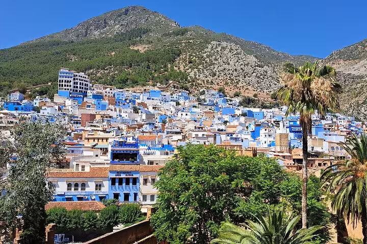 Vibrant blue buildings in Chefchaouen with lush greenery and mountain backdrop on a guided tour from Fez.