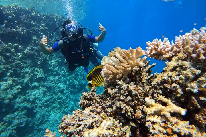 First-time scuba diver giving thumbs up beside healthy coral reef during a guided discovery scuba dive tour