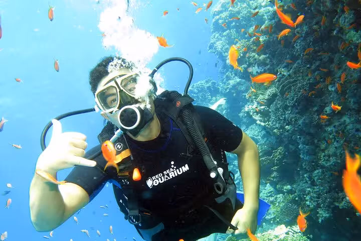 First-time scuba diver giving shaka sign beside a coral reef, surrounded by tropical fish on discovery dive