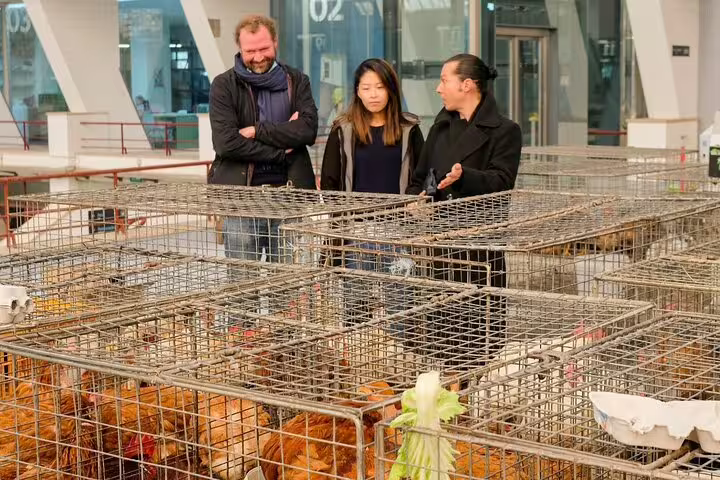 Three people explore a bustling fish market tour, engaging with vendors and observing fresh seafood selections in crates.