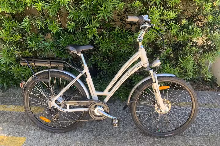 Modern bicycle ready for a Florianopolis street food and photography bike tour, set against vibrant greenery.