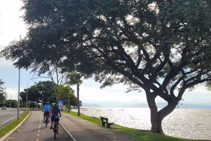 Cyclists riding along a scenic waterfront path lined with trees, highlighting the picturesque routes in Florianopolis.
