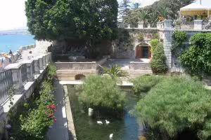 Fonte Aretusa spring in Ortigia, Siracusa waterfront, with papyrus plants on HD Best of Siracusa tour