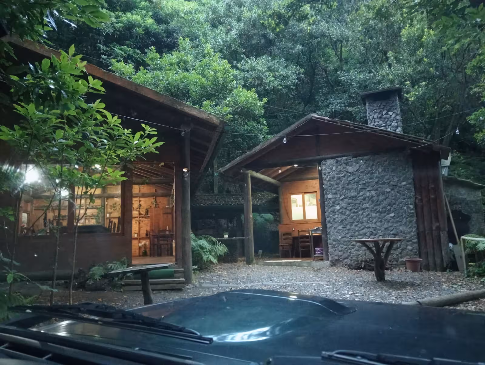 Charming forest cabins offer cozy retreat for a private group tour, nestled in lush greenery.