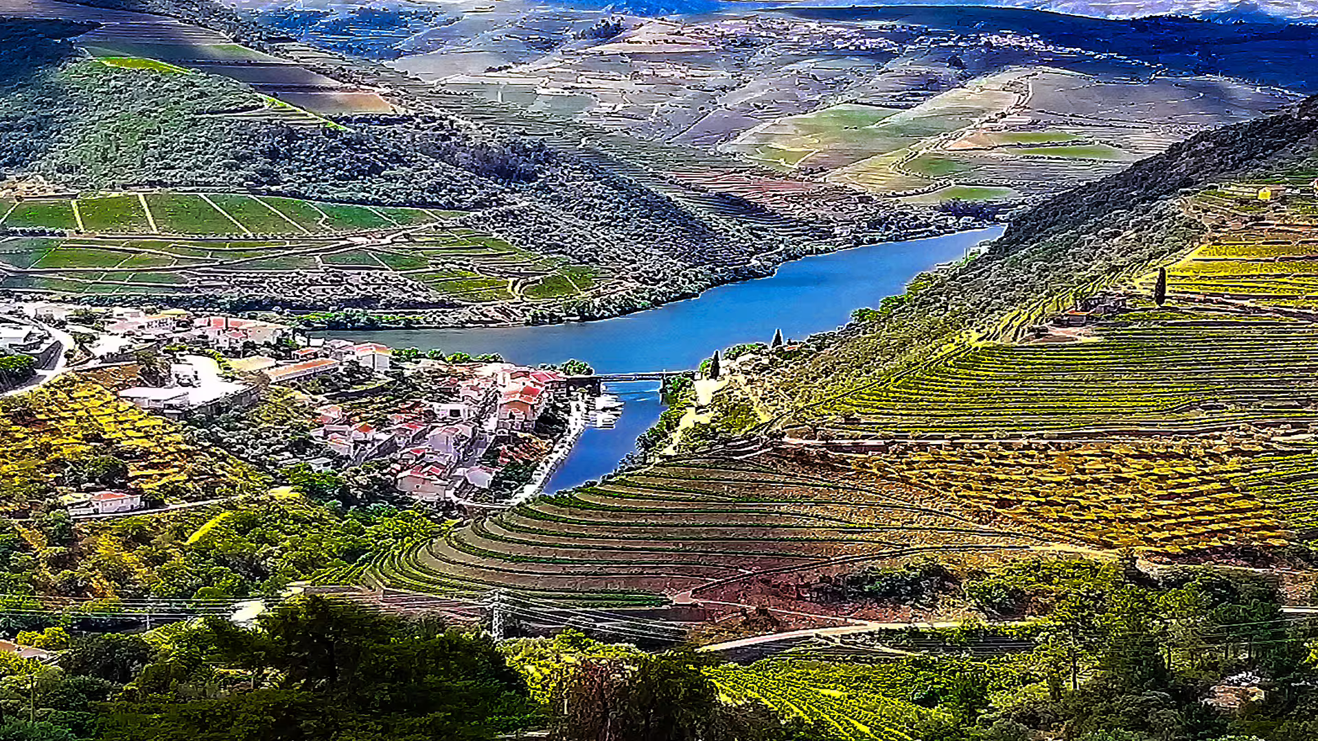 Scenic view of Douro Valley's terraced vineyards and river, showcasing Foz Côa's stunning landscapes on a private tour.
