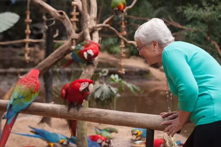 Visitor interacting with vibrant parrots at Foz do Iguaçu's aviary on a private tour with panoramic flight.