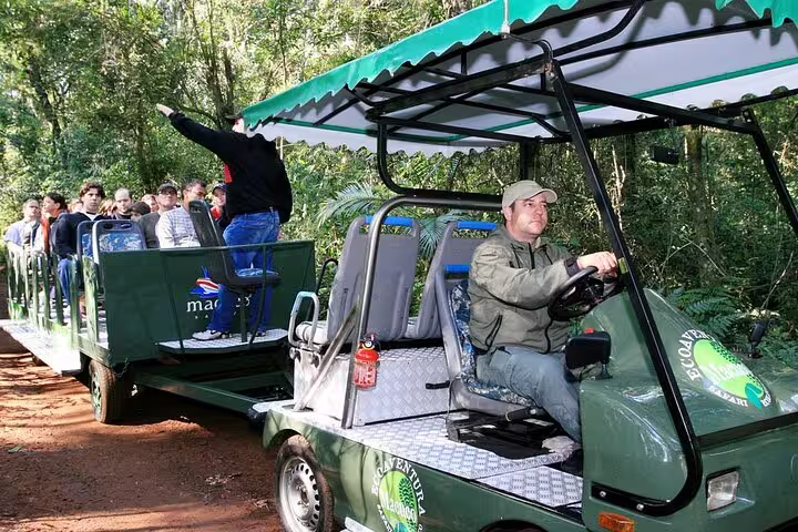 Tourists explore the lush rainforest of Foz do Iguaçu in an open-air vehicle, part of a private guided tour.
