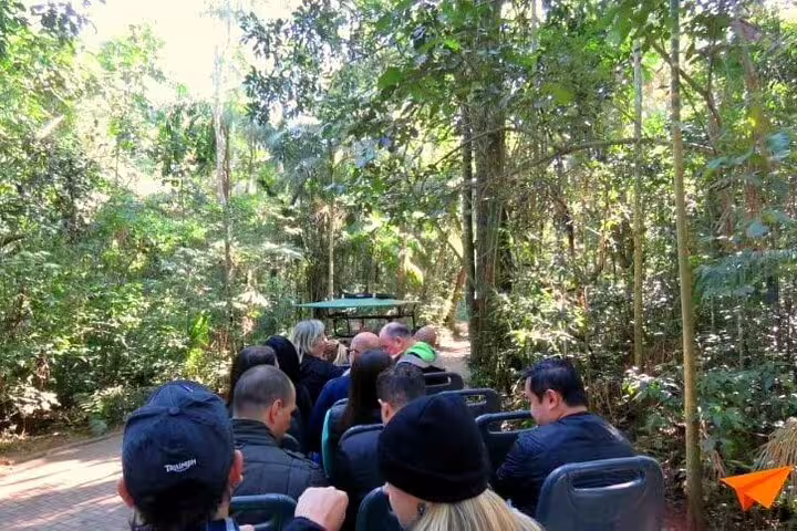 Tourists seated on an open vehicle exploring the dense tropical forest of Foz do Iguaçu, enjoying the scenic nature.