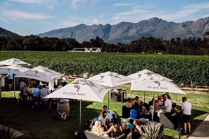 Scenic vineyard view with guests dining under umbrellas in Franschhoek, perfect for a Cape Town day tour.