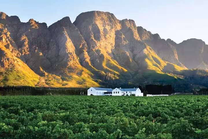 Stunning vineyard landscape at sunset with a white estate nestled against the dramatic Franschhoek mountains.