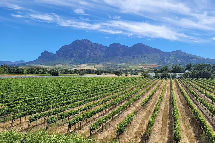 Scenic view of lush vineyards against the majestic Franschhoek mountains under a clear blue sky.