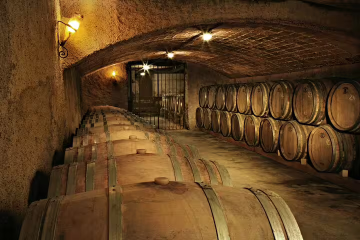 Wine barrels in a rustic Frascati vineyard cellar, highlighting the authentic experience of a private day trip with lunch and tasting.