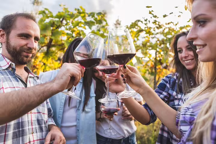 Group enjoying a wine tasting in a Frascati vineyard, toasting with red wine glasses amidst lush grapevines.