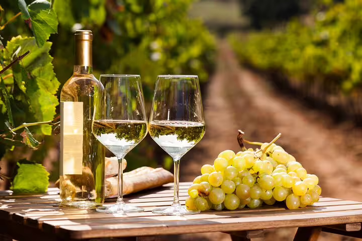 Wine bottle, glasses, and grapes on a table in a sunny vineyard, perfect for a private Frascati day trip with lunch and wine tasting.