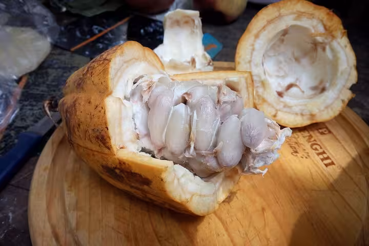 Close-up of fresh cacao pod revealing seeds at Rio's tropical fruit market tour.