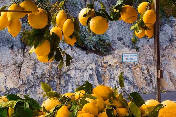 Fresh lemons hanging in Amalfi, highlighting the region's vibrant citrus culture on Sorrento day tour.