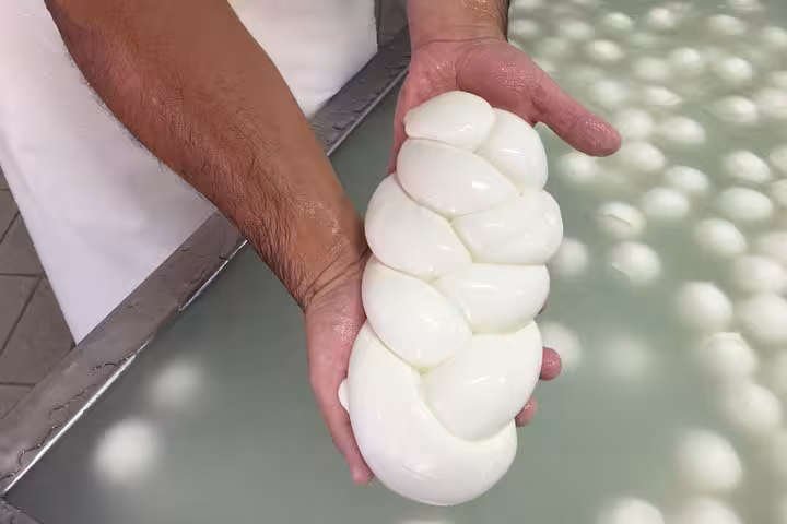 Hands holding fresh braided mozzarella during a farm experience on the Paestum Temples tour from Sorrento.