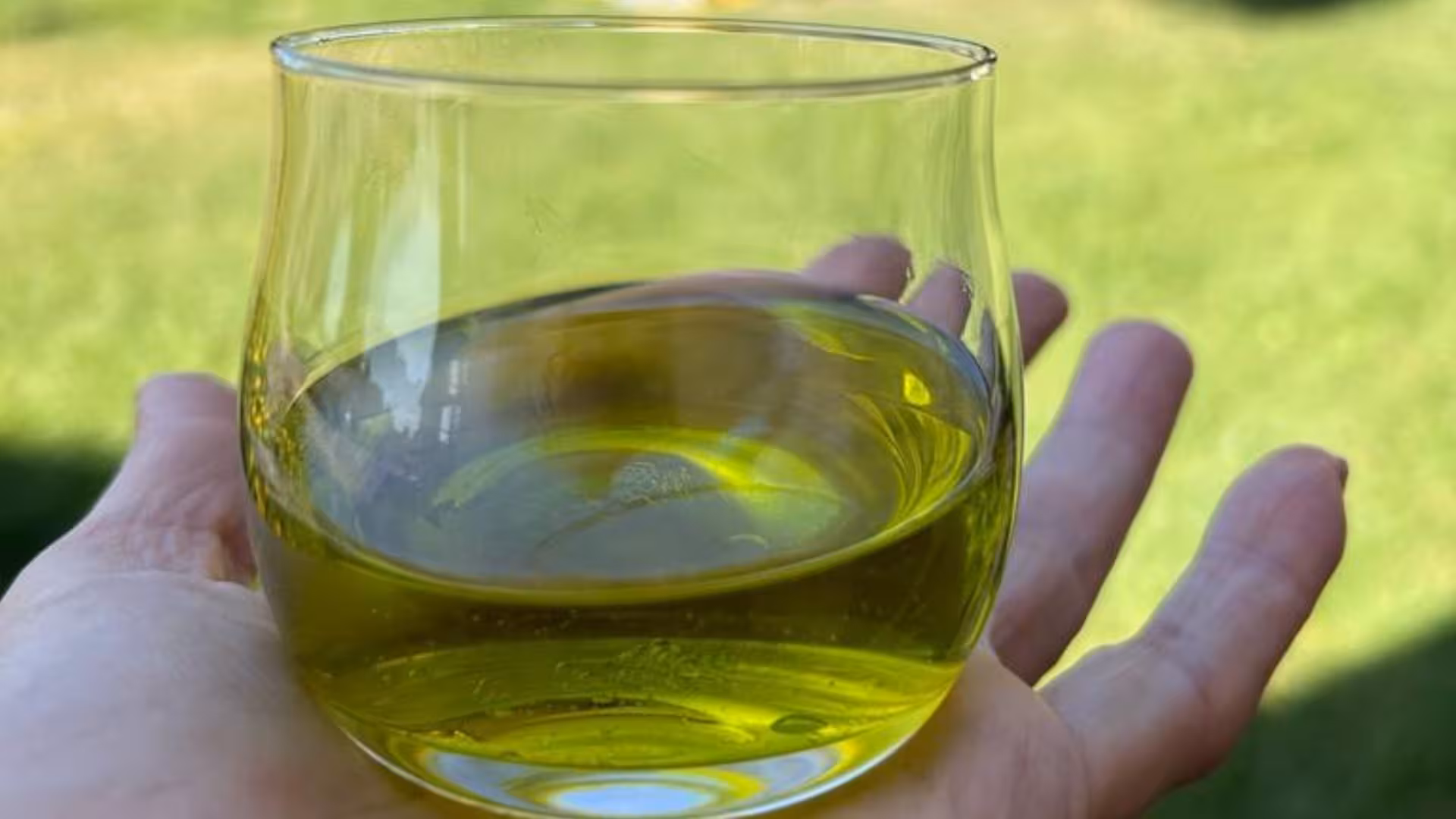 Close-up of fresh olive oil in glass during Oristano tasting experience.