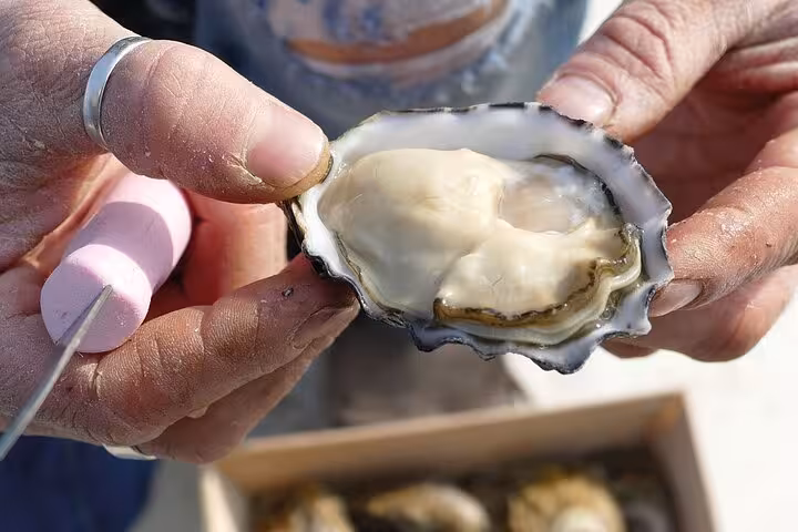 Close-up of a freshly shucked oyster held in hand, perfect for an exclusive Riviera seafood tasting experience.