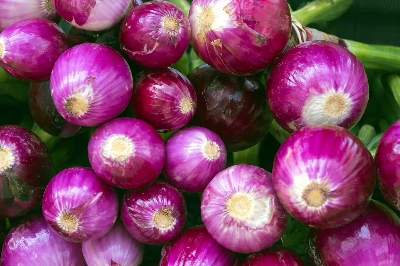 Close-up of fresh red Tropea onions at a local Calabrian market, showcasing the region’s famous sweet cipolla rossa specialty