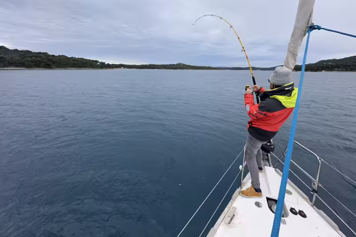 Freshly caught sea bream and small fish in a metal bowl on a boat, perfect for a catch of the day trip