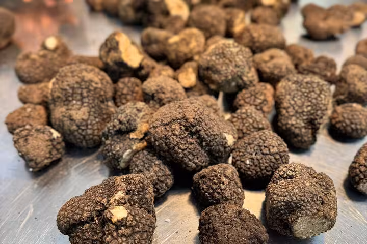 Close-up of fresh truffles on a stainless steel surface, showcasing ingredients used in a Rome cooking class.