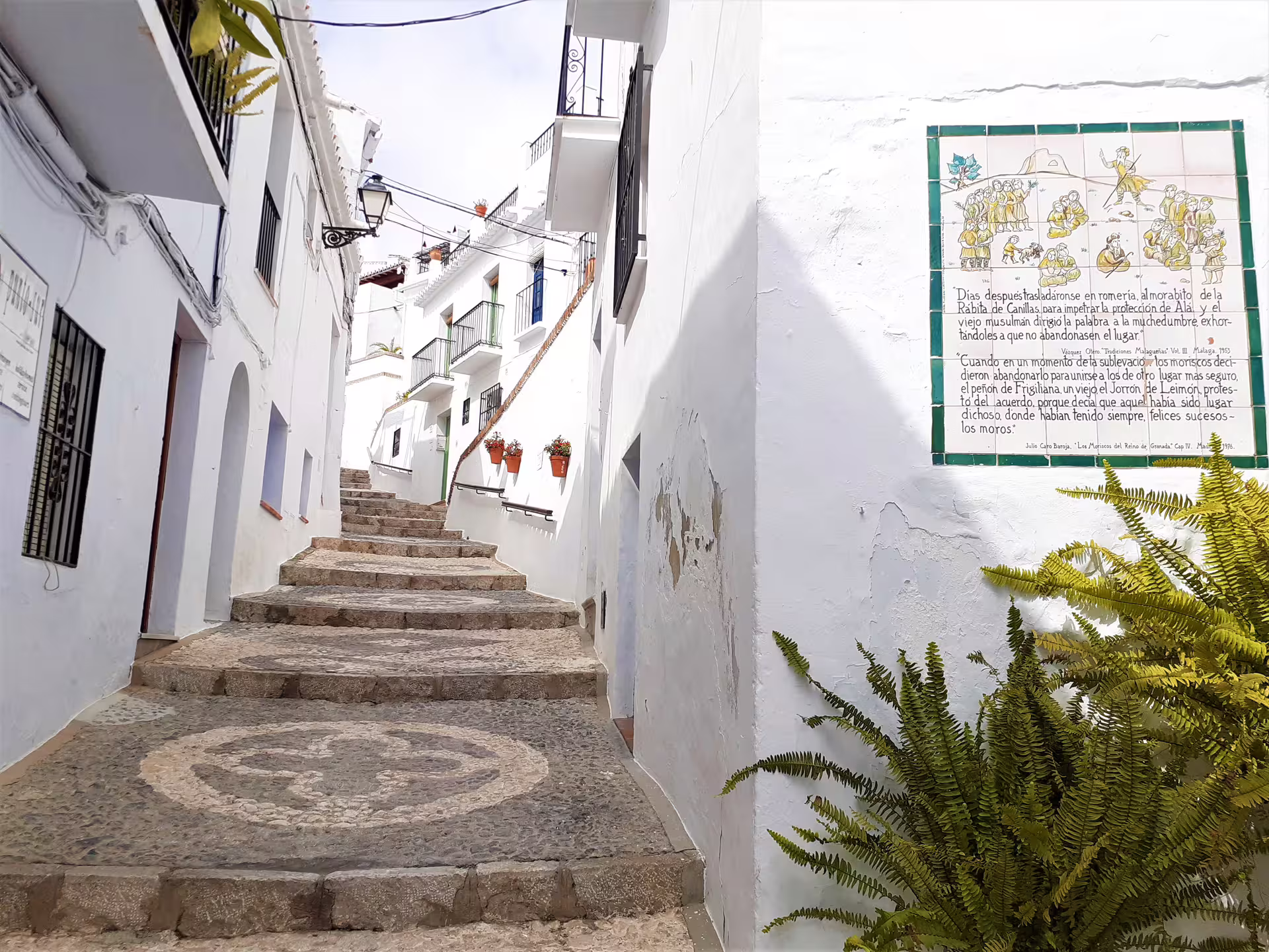 Whitewashed stepped alley in Frigiliana old town, a highlight on private Nerja and Frigiliana tour from Marbella
