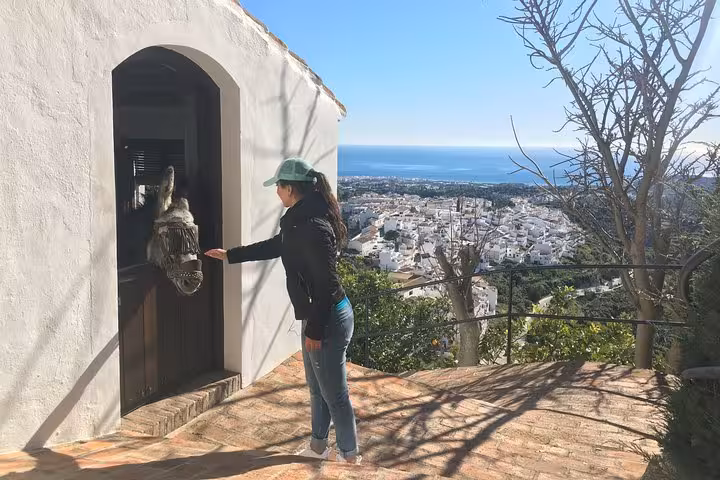 Woman interacts with a donkey at a scenic viewpoint overlooking Frigiliana's whitewashed village and the Mediterranean Sea.