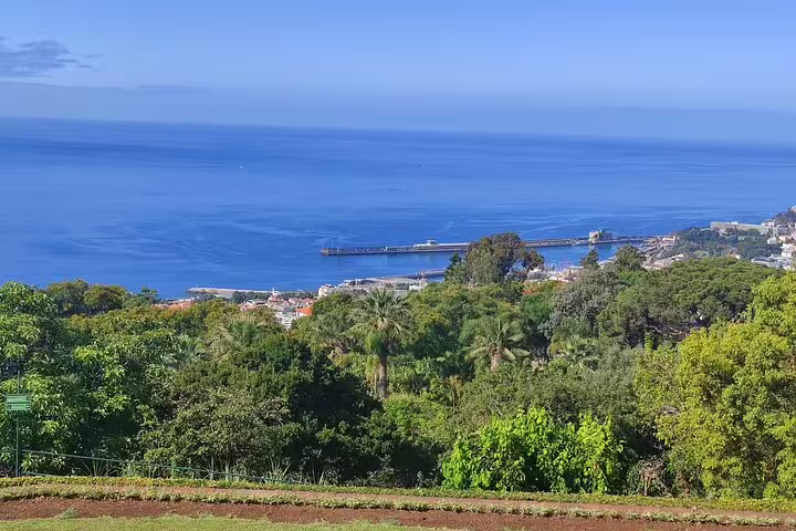 Scenic view of Funchal coastline from a lush hillside, perfect for exploring on a sidecar adventure tour.