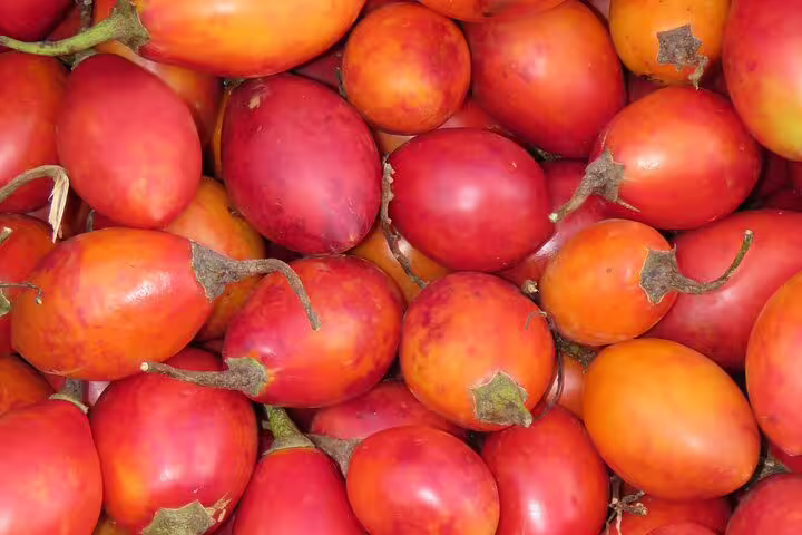 Vibrant display of fresh, red and orange tamarillos at a local farmers market, part of the Funchal 4WD tour experience.
