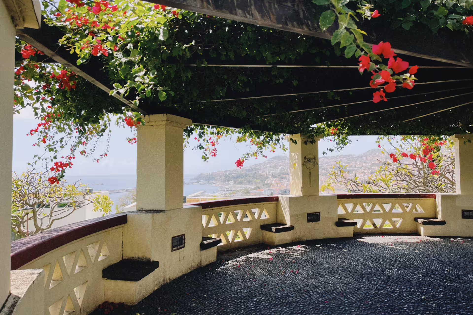 Covered terrace with vibrant red flowers and ocean view, perfect stop on a self-guided e-bike tour from Funchal to Garajau.