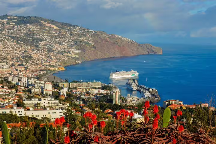Scenic view of Funchal harbor with cruise ship and vibrant cityscape on the Madeira east day tour.