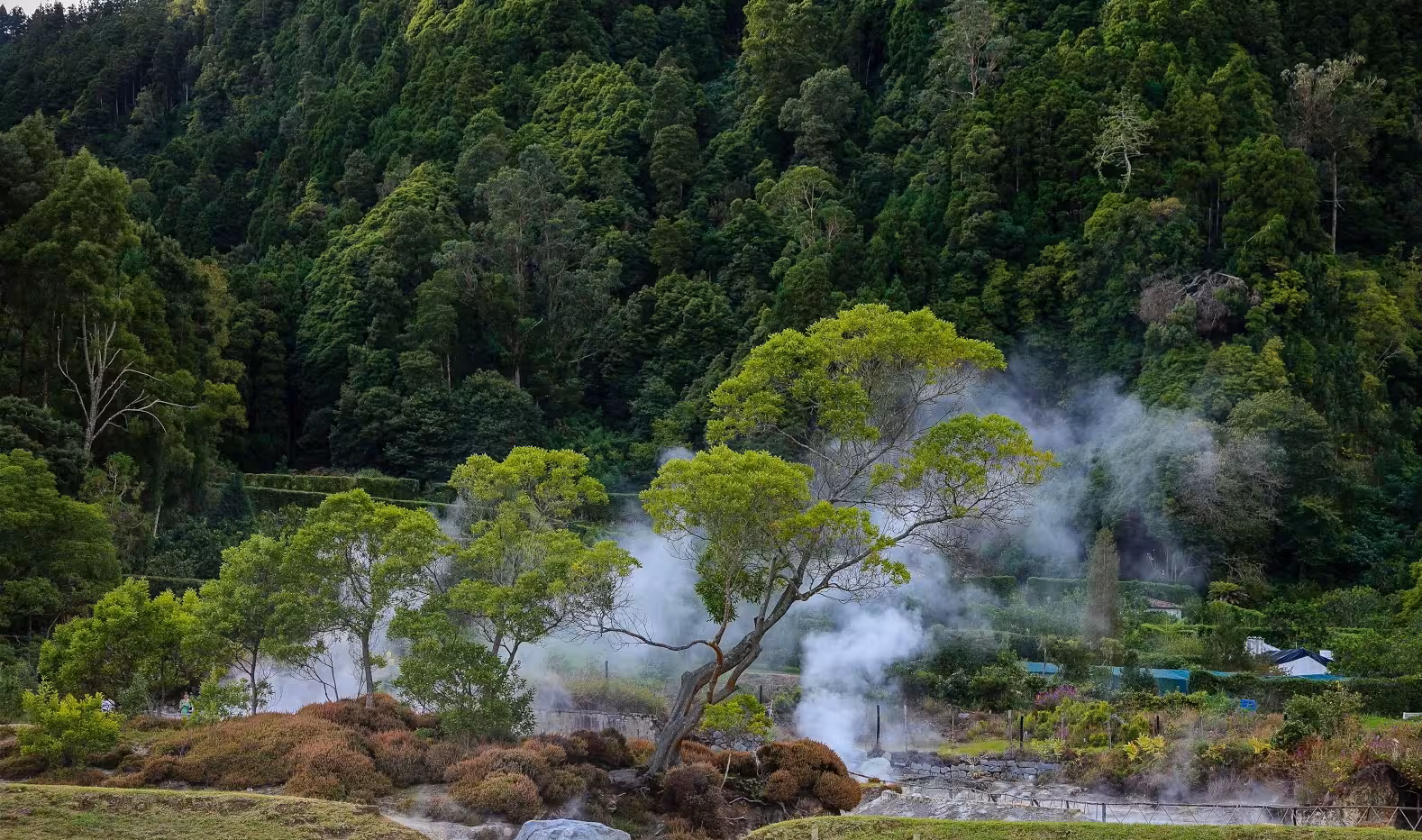 Lush Furnas valley in the Azores with geothermal steam vents rising among green trees and volcanic landscape