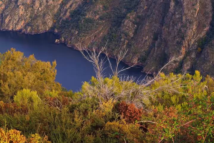 Experience the stunning landscapes of Galicia's Sil River Canyon, a highlight on our 10-day tour from Madrid.