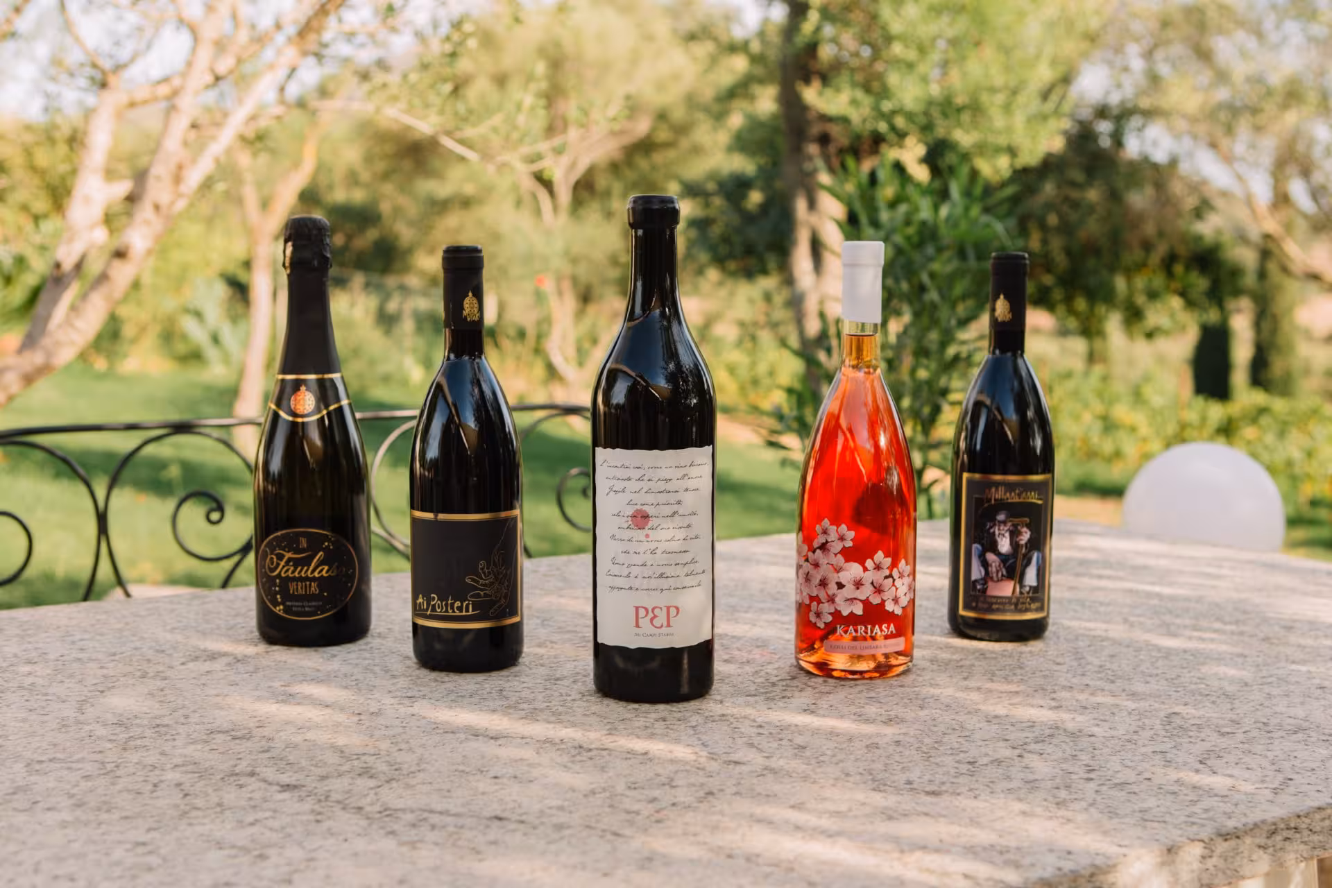 Selection of Gallura wines on a stone table in a scenic Olbia vineyard setting.
