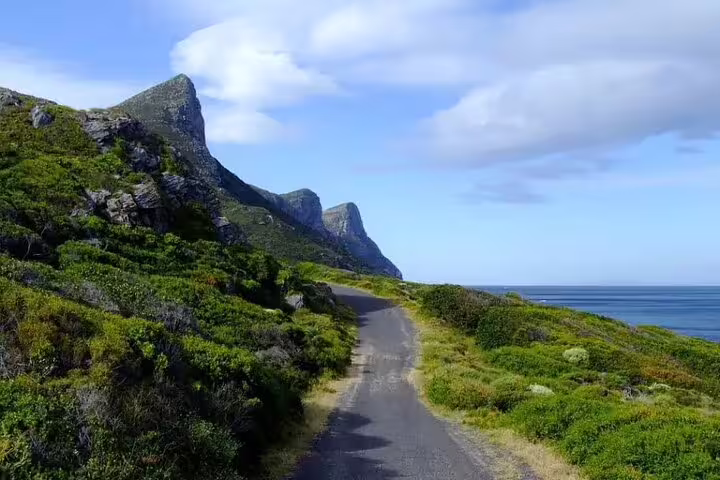 Scenic coastal road along lush green cliffs and ocean views on the Garden Route of Africa.