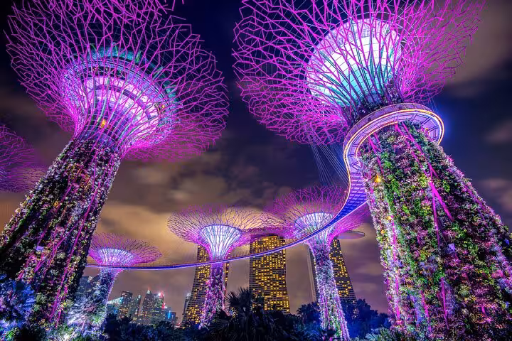 Gardens by the Bay Supertree Grove at night, ideal stop on a 4-hour Singapore private minibus tour with driver