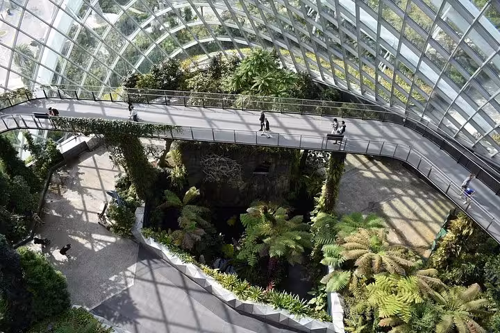 Cloud Forest Dome walkway inside Gardens by the Bay Singapore, lush greenery with admission e-ticket entry