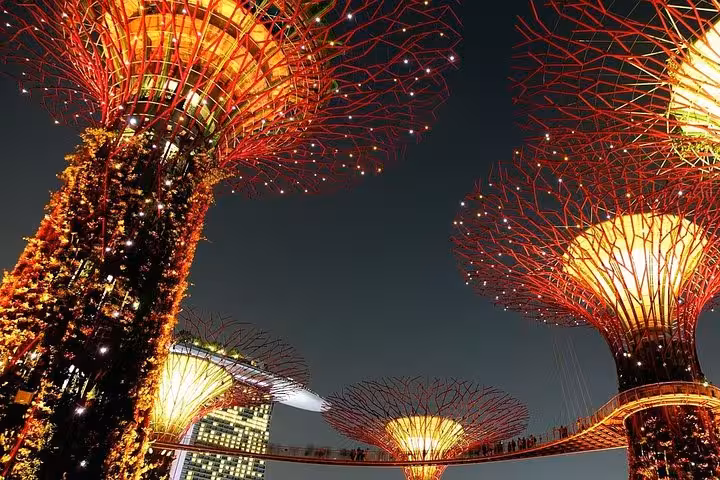 Supertree Grove at night with Garden Rhapsody lights and OCBC Skyway, Gardens by the Bay e-ticket Singapore