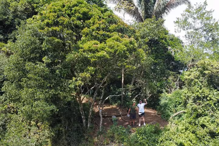 Hikers standing under lush trees during the Garganta do Céu hike in Pedra da Gávea's vibrant rainforest.