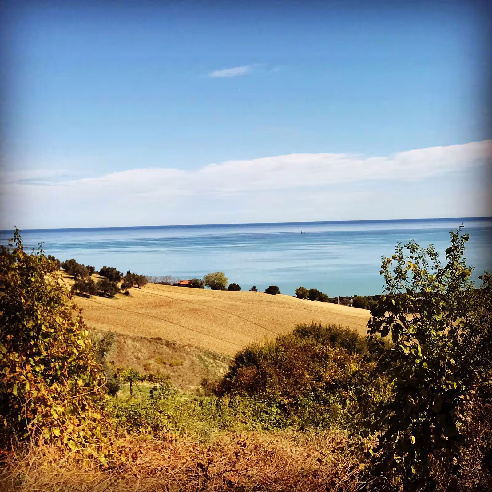 Panorama di colline e mare vicino all’azienda agricola Garra, tour tra uliveti e degustazione olio