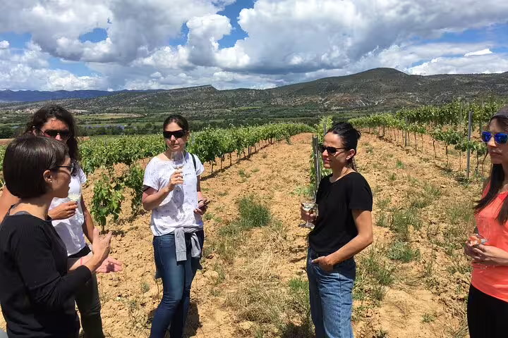 Visitors enjoy a wine tasting experience at a scenic vineyard during the 2-Day Gaudi & Sagrada Familia plus Montserrat tour.