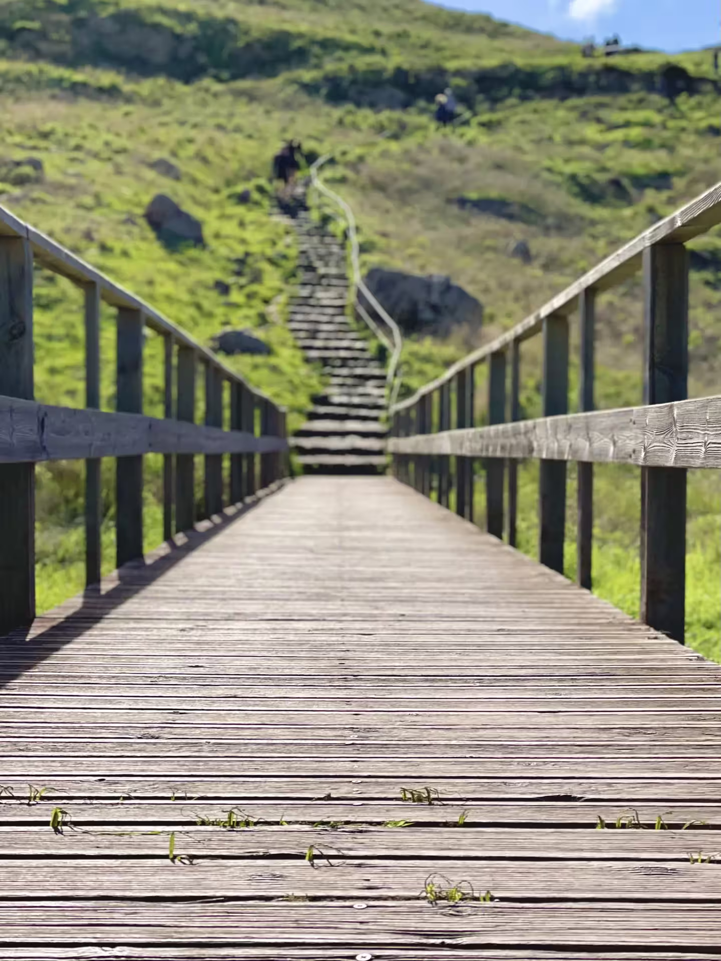 Wooden walkway leading to scenic hillside trail on The Geological Hike, perfect for nature enthusiasts.